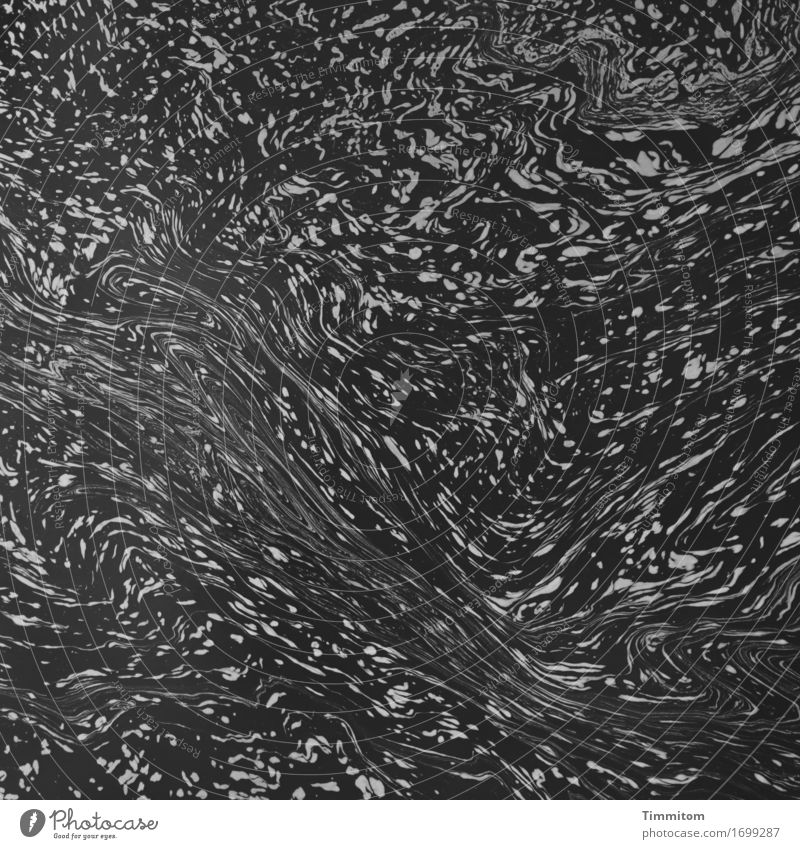 Die Regnitz. Umwelt Natur Urelemente Wasser ästhetisch grau schwarz fließen Fluss Muster Schwarzweißfoto Außenaufnahme Menschenleer Tag