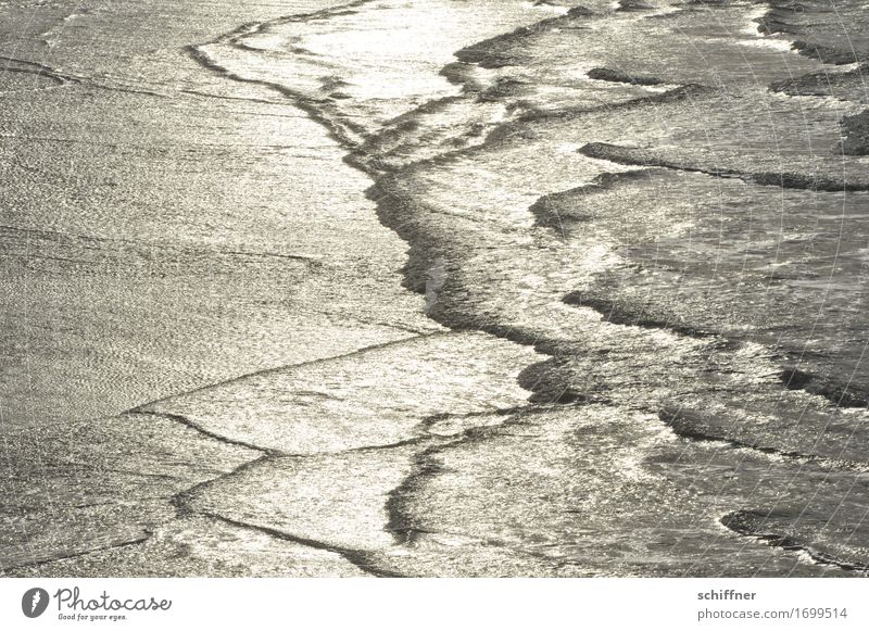Belgische Weißheit Wasser Wellen Küste Strand Meer grau weiß Wellengang Wellenform Wellenschlag Wellenlinie beruhigend Erholung Meditation Außenaufnahme