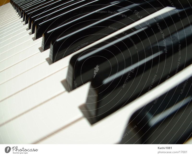 Tasten Klavier Freizeit & Hobby Musik berühren Perspektive Musiknoten
