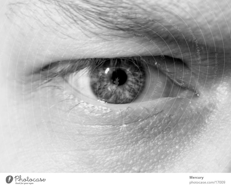 Spiegel der Seele Mann Auge Schwarzweißfoto Makroaufnahme Regenbogenhaut