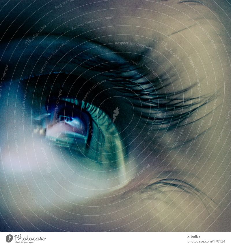 I spy with my little eye... Farbfoto Makroaufnahme Kontrast Reflexion & Spiegelung Unschärfe Schwache Tiefenschärfe Blick nach oben Auge 1 Mensch bedrohlich