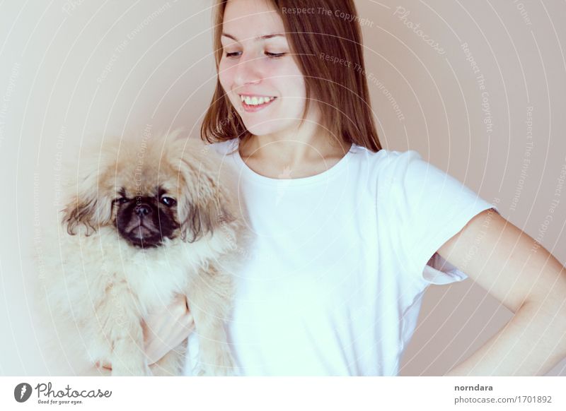 glückliches Mädchen mit Hund Freude Gesundheit Mensch Leben 18-30 Jahre Jugendliche Erwachsene 30-45 Jahre T-Shirt Haustier Tiergesicht berühren Lächeln lachen