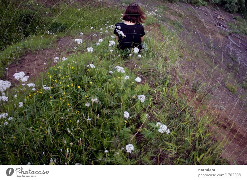 allein Sommer Mädchen 1 Mensch Pflanze Blume Gras Garten Park Wiese Feld Hügel Blühend Einsamkeit Traurigkeit hinsetzen schwarz Kleid Rücken dramatisch weinen