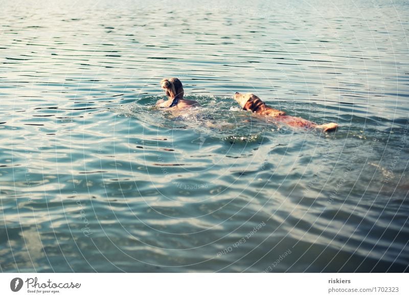 einfach schwimmen, schwimmen, schwimmen... Mensch feminin Frau Erwachsene Freundschaft Leben 1 30-45 Jahre Sommer Schönes Wetter See Tier Haustier Hund