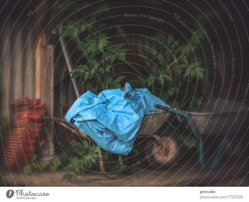 blauer engel Umwelt Natur Feld Paket Kunststoffverpackung Zeichen authentisch dreckig Handel Kultur Rätsel Umweltverschmutzung Umweltschutz Häusliches Leben