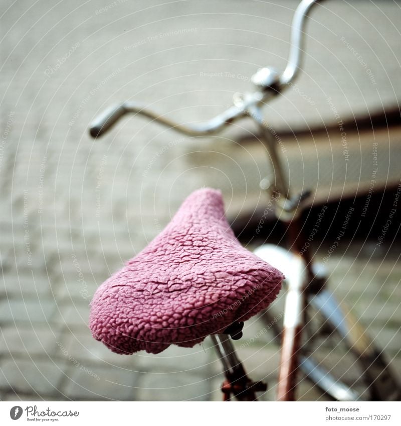 Rosa Fahrradsattel Farbfoto mehrfarbig Nahaufnahme Menschenleer Textfreiraum oben Kontrast Schwache Tiefenschärfe Freude Freizeit & Hobby
