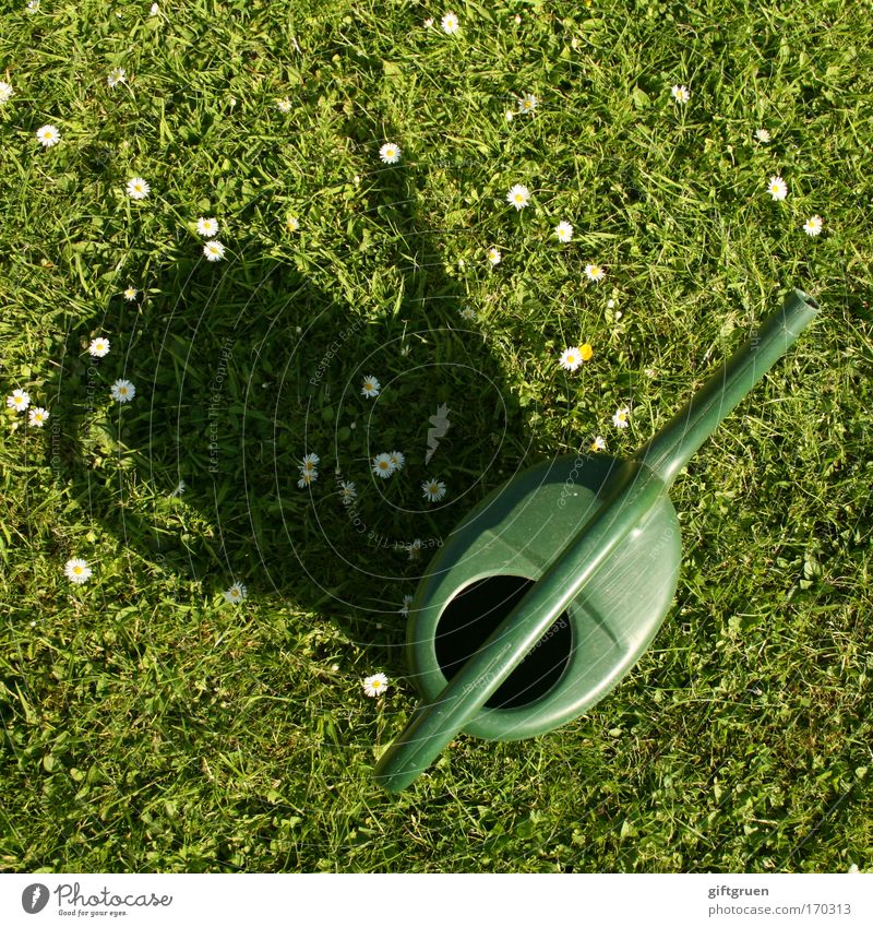 regenmacher Farbfoto Außenaufnahme Menschenleer Schatten Vogelperspektive Blume Kunststoff grün Gießkanne Gießkannenprinzip Rasenmäherprinzip Regenmacher Wasser