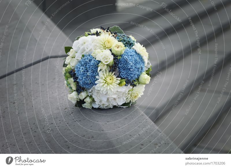Brautstrauß Blumenstrauß Glück Ehe Hochzeit blau weiß grau Freisteller Liebe Bündel Hochzeitstag (Jahrestag) Farbfoto Außenaufnahme Textfreiraum rechts