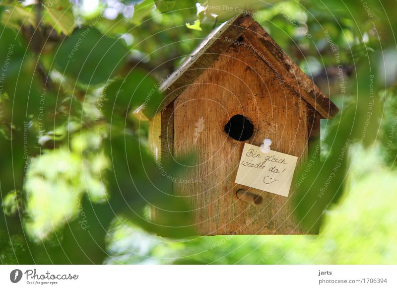 bin gleich wieder da II Baum Blatt Garten Park Wald Haus Hütte Hinweisschild Warnschild Originalität Häusliches Leben Zettel Information Futterhäuschen