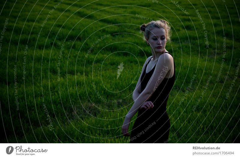 Alexa | am Abend Mensch feminin Junge Frau Jugendliche Erwachsene 1 18-30 Jahre Umwelt Natur Landschaft Sommer Gras Wiese Feld Kleid Haare & Frisuren blond