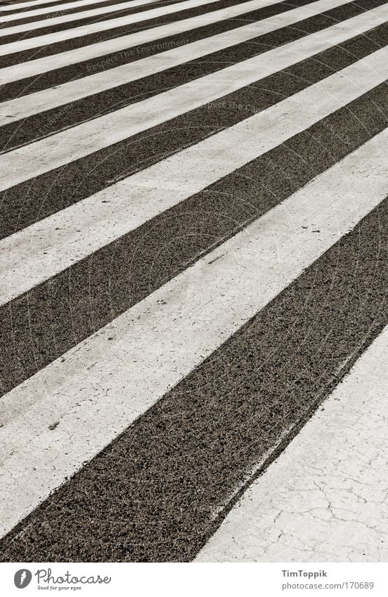 Streets and Stripes Außenaufnahme Menschenleer Verkehr Verkehrswege Personenverkehr grau schwarz weiß Muster Streifen Zebra Zebrastreifen Fußgängerübergang