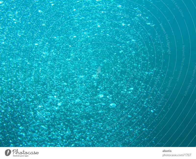 red sea bubbles Meer Rotes Meer Lufblasen blau Detailaufnahme mehrere
