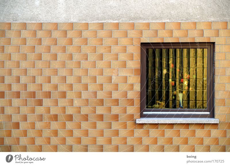 european Bob Außenaufnahme harmonisch Basteln Häusliches Leben Wohnung Innenarchitektur Ostern Haus Fassade Fenster ästhetisch frech einzigartig Romantik