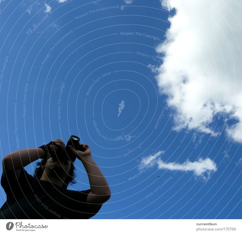 wolkenwolf Farbfoto Textfreiraum oben Tag Luft Himmel Wolken Sommer Wetter Schönes Wetter schwarzhaarig Dreitagebart Streichelzoo 1 Tier "Flug in die Wolken