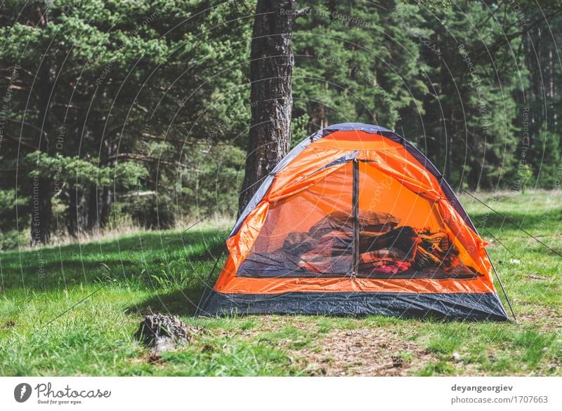 Orange Zelt in einem Kiefernwald Erholung Freizeit & Hobby Ferien & Urlaub & Reisen Tourismus Abenteuer Camping Sommer Berge u. Gebirge wandern Natur Landschaft