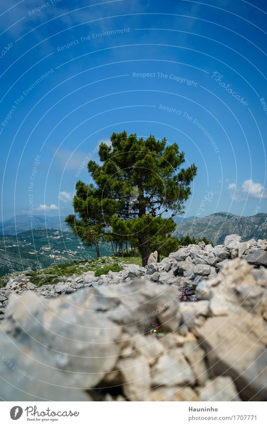 Dubrovnik Xl Ferien & Urlaub & Reisen Tourismus Sommerurlaub Berge u. Gebirge wandern Umwelt Natur Landschaft Himmel Schönes Wetter Pflanze Baum Gras