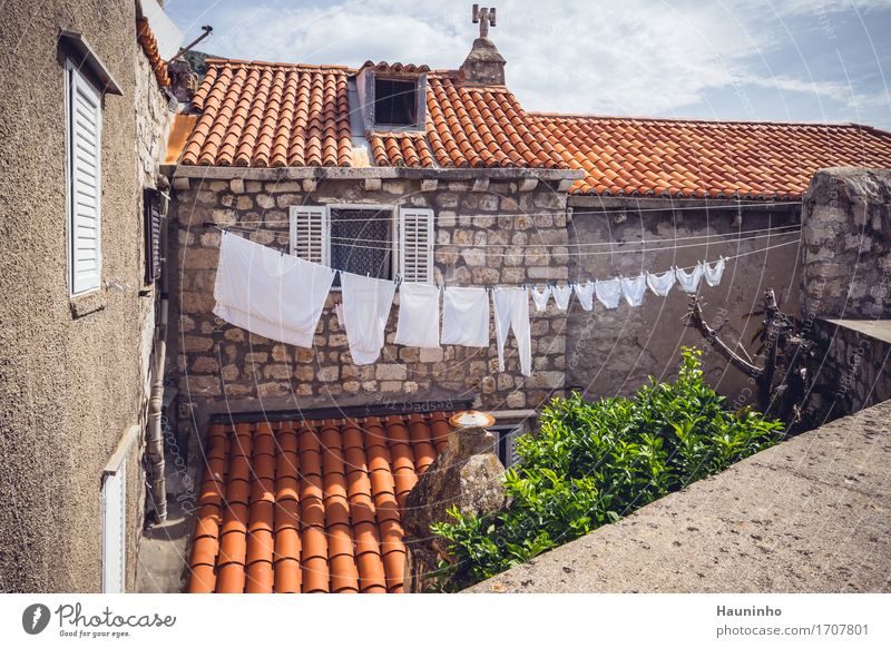 Dubrovnik ll Ferien & Urlaub & Reisen Tourismus Städtereise Sommer Pflanze Baum Kroatien Hafenstadt Altstadt bevölkert Haus Gebäude Architektur Mauer Wand