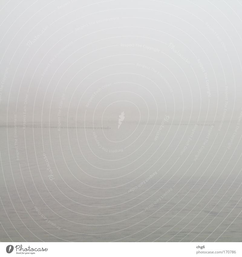 Nebel an der Ostsee Farbfoto Gedeckte Farben Außenaufnahme Menschenleer Textfreiraum oben Textfreiraum unten Tag Zentralperspektive Totale Ferne Meer Natur