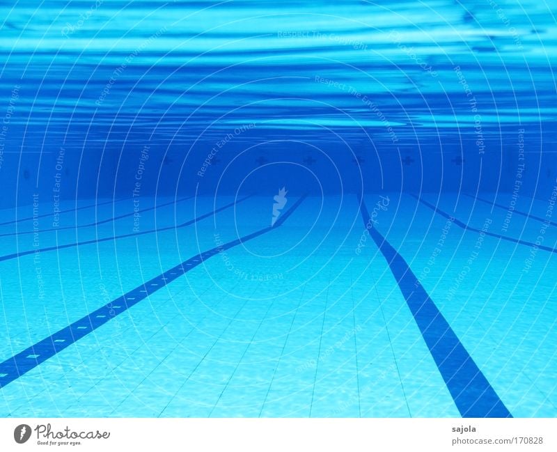 // \ pool - leer Sport Wassersport Schwimmbad Urelemente frei nass blau Chlor liniert Linie Bahn Wellenform wellig Einsamkeit Fliesen u. Kacheln Farbfoto