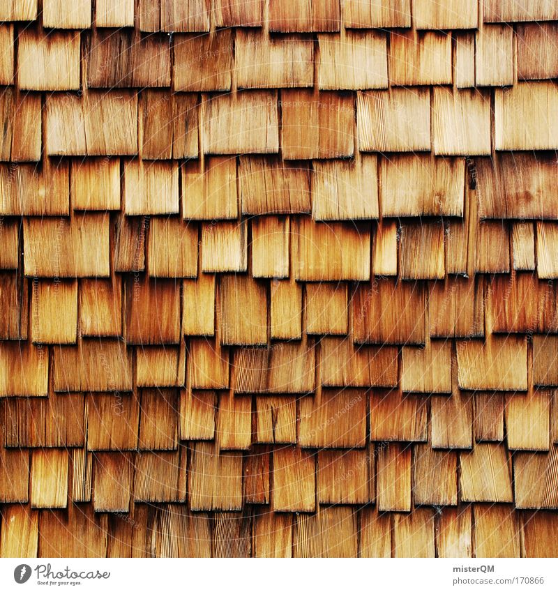 Dach der Welt. Farbfoto mehrfarbig Außenaufnahme Detailaufnahme Muster Strukturen & Formen Menschenleer Tag Sonnenlicht Starke Tiefenschärfe Totale Profil Holz