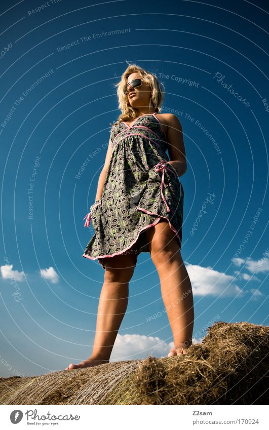 lena in heaven Außenaufnahme Wegsehen feminin Junge Frau Jugendliche 18-30 Jahre Erwachsene Natur Landschaft Himmel Wolken Gras Mode Kleid Sonnenbrille blond