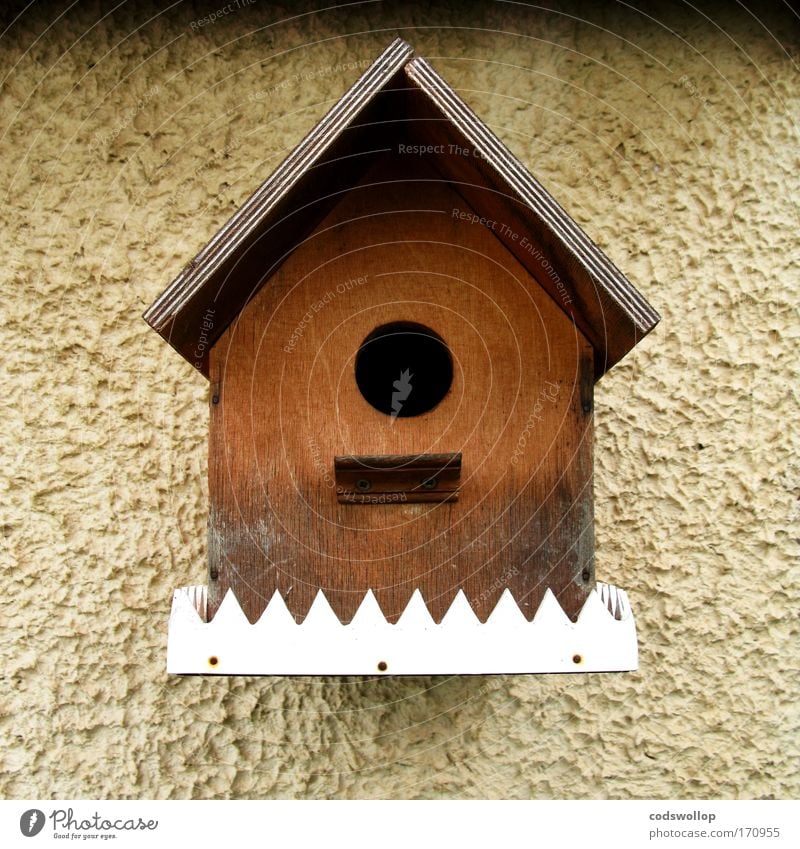 make a little birdhouse in your soul Außenaufnahme Altstadt Fassade Vogel Holz Futterhäuschen Garten Wohnung Wochenendhaus Ein-Zimmer-Appartment Nistkasten
