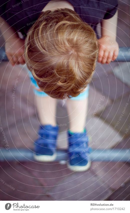 kletterkunst Mensch maskulin Kind Kleinkind Junge Kopf Haare & Frisuren 1 1-3 Jahre Spielen klein Neugier niedlich Zufriedenheit Kindheit Außenaufnahme