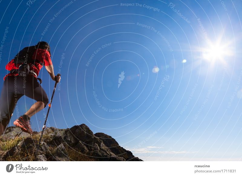Skyrunner läuft bergauf auf einem Bergweg. Freiheit Sommer Sonne Berge u. Gebirge wandern Sport Mensch Mann Erwachsene Natur Landschaft Himmel Wege & Pfade Hemd