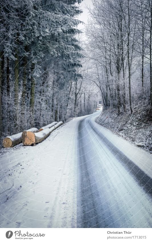 Lonesome road Leben harmonisch Wohlgefühl Zufriedenheit Winter Schnee Winterurlaub Berge u. Gebirge wandern Umwelt Natur Landschaft Klima Schönes Wetter