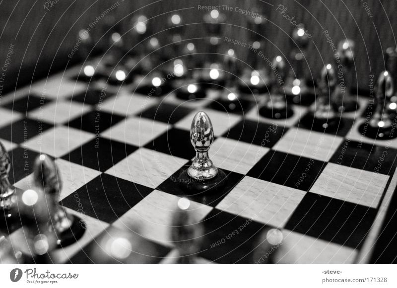 Einzelkämpfer Schach Tapferkeit Verantwortung Schachfigur Einsamkeit Schachbrett silber einzeln Alleingänger Alleingang Schwarzweißfoto Nahaufnahme
