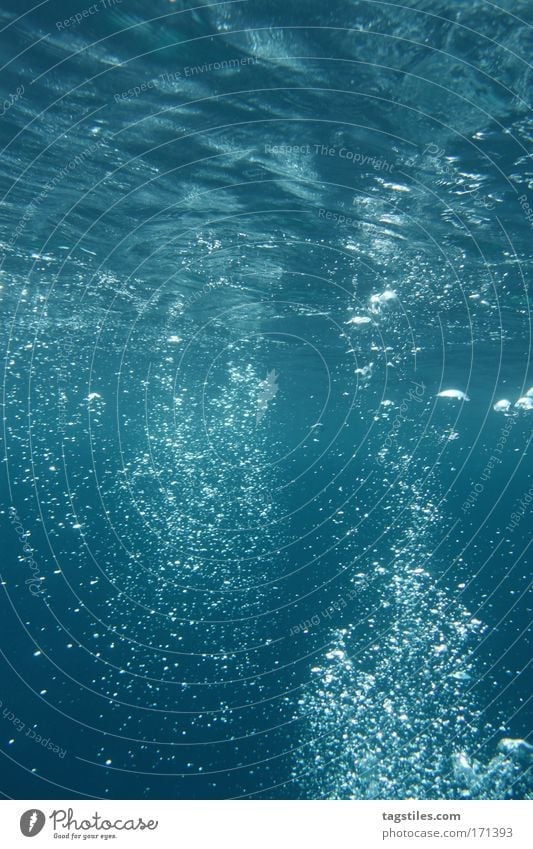BUBBLING Meer Indien blasen Blase bubble bubbles Blasenbildung tauchen Schnorcheln Ferien & Urlaub & Reisen Wasser Wasseroberfläche Oberfläche atmen Atem