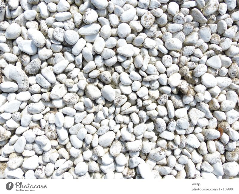 Kies weiss hintergrund Natur Stein viele weiß Kieselsteine Hintergrundbild Geröll Tag