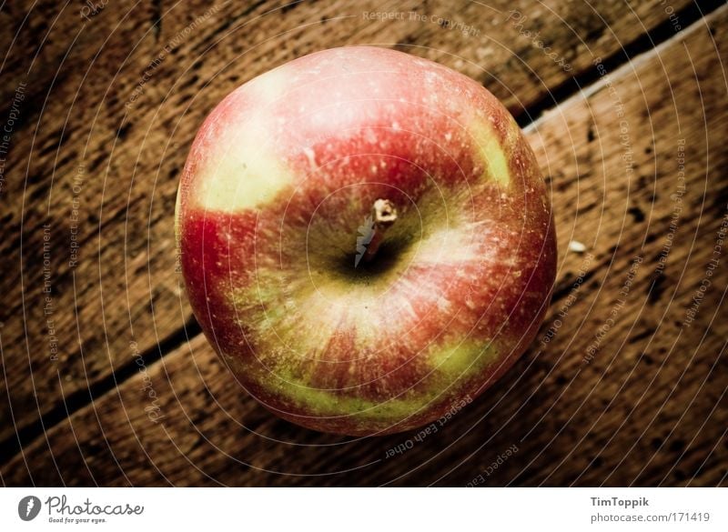 Ein Apfel ist ein Apfel ist ein Apfel... Innenaufnahme Lebensmittel Frucht Ernährung Mittagessen Bioprodukte Vegetarische Ernährung Diät Fasten Gesundheit