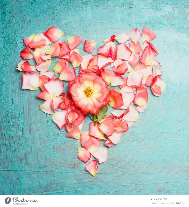 Rosenblüten Herz Stil Design Feste & Feiern Valentinstag Muttertag Hochzeit Geburtstag Natur Pflanze Blume Blüte Blumenstrauß Zeichen Liebe rosa Leidenschaft