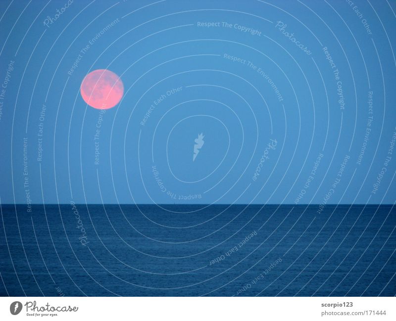 Mondaufgang am Meer Farbfoto Außenaufnahme Menschenleer Dämmerung Totale Natur Wasser Himmel Vollmond blau Zufriedenheit ruhig Fernweh Kraft Tag