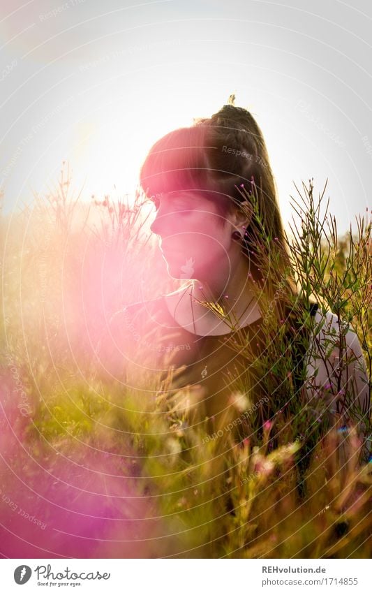 Carina | im Abendlicht Stil Glück Mensch feminin Junge Frau Jugendliche 1 18-30 Jahre Erwachsene Umwelt Natur Sonnenlicht Sommer Blume Gras Sträucher brünett