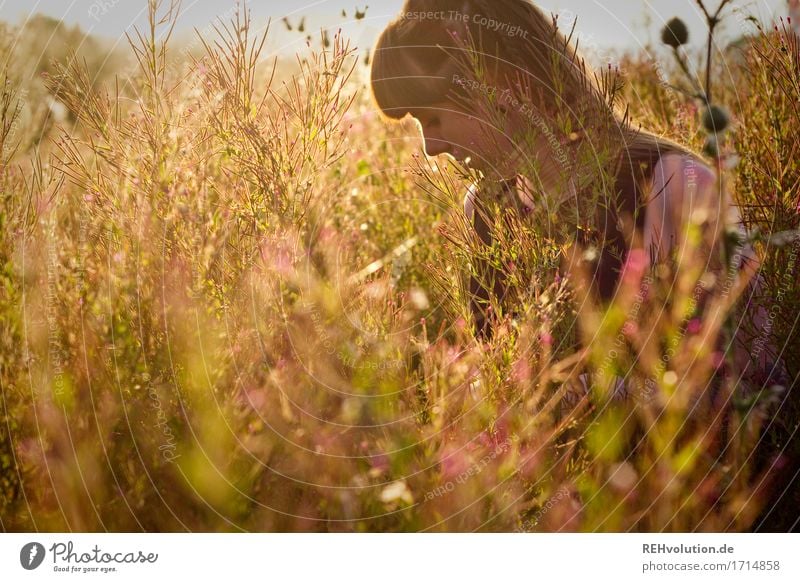 Carina | Blumenwiese Mensch feminin Junge Frau Jugendliche 1 18-30 Jahre Erwachsene Umwelt Natur Landschaft Pflanze Sonne Sonnenaufgang Sonnenuntergang