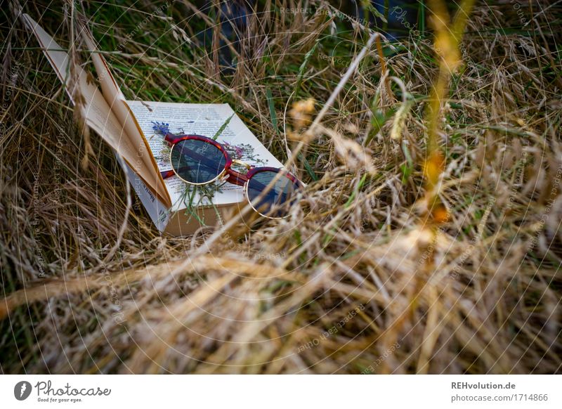 Buch und Sonnenbrille im Gras lernen Umwelt Natur Wiese Brille lesen natürlich Bildung Freizeit & Hobby Farbfoto Gedeckte Farben Nahaufnahme Detailaufnahme
