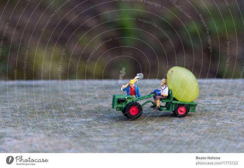 Zeit, die Ernte einzufahren Lebensmittel Frucht Mann Erwachsene 2 Mensch Umwelt Landschaft Herbst Wetter Nutzpflanze Dorf Straße Traktor Arbeitsbekleidung