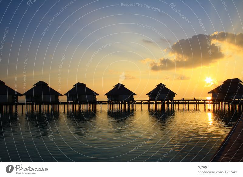 a neverending dream Farbfoto Außenaufnahme Abend Dämmerung Sonnenlicht Sonnenstrahlen Sonnenaufgang Sonnenuntergang Wasser Himmel Insel Malediven Freiheit