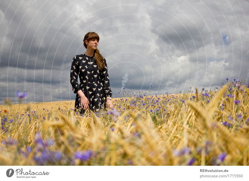 Carina | im Kornfeld Mensch feminin Junge Frau Jugendliche 1 18-30 Jahre Erwachsene Umwelt Natur Himmel Wolken Gewitterwolken Sommer Feld Mode Kleid brünett