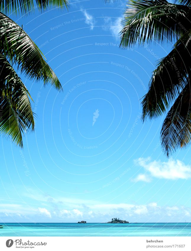 für meinen engel Ferien & Urlaub & Reisen Tourismus Abenteuer Ferne Freiheit Himmel Wolken Schönes Wetter Wellen Küste Meer Indischer Ozean Insel Seychellen