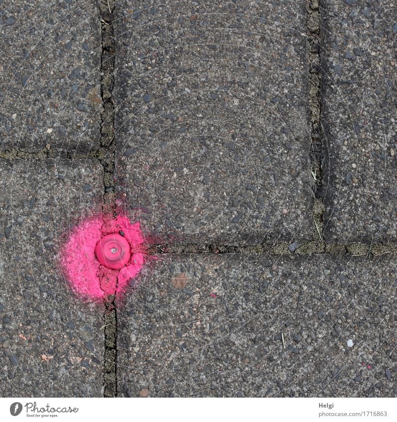 . Fußgänger Wege & Pfade Fußweg Stein Schriftzeichen Punkt außergewöhnlich einfach einzigartig klein grau rosa bizarr Ordnung Wandel & Veränderung