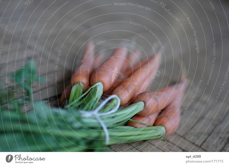 Magiuhana is nich gut Farbfoto Innenaufnahme Detailaufnahme Menschenleer Textfreiraum oben Tag Schwache Tiefenschärfe Lebensmittel Möhre Ernährung Pflanze
