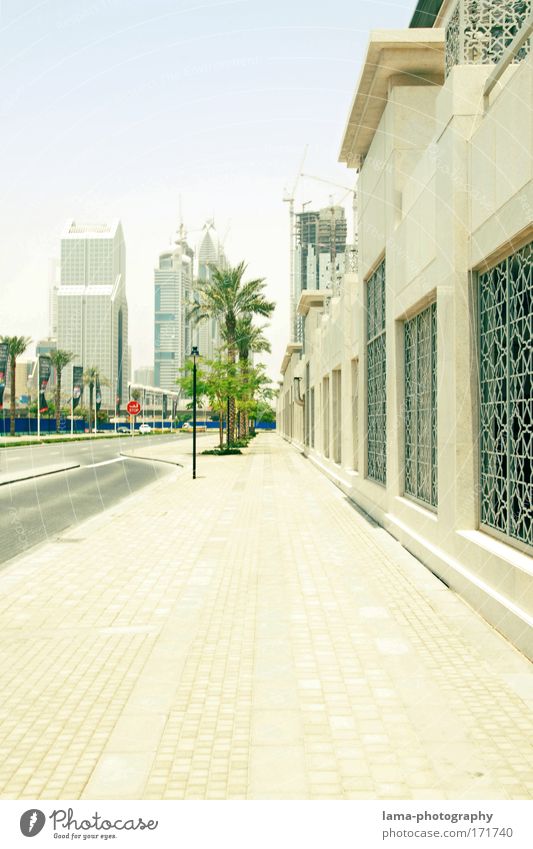 Sunshine Boulevard Farbfoto Außenaufnahme Menschenleer Textfreiraum unten Tag Licht Sonnenlicht Zentralperspektive exotisch Palme Dubai Stadtzentrum