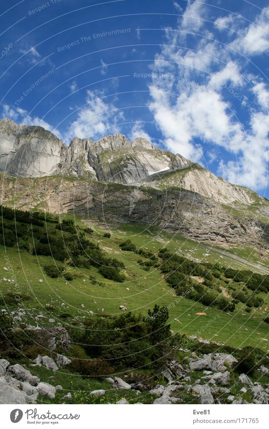 Cloud's in the Alps Farbfoto Außenaufnahme Menschenleer Tag Schatten Kontrast Sonnenstrahlen Ausflug Ferne Freiheit Natur Landschaft Pflanze Tier Urelemente