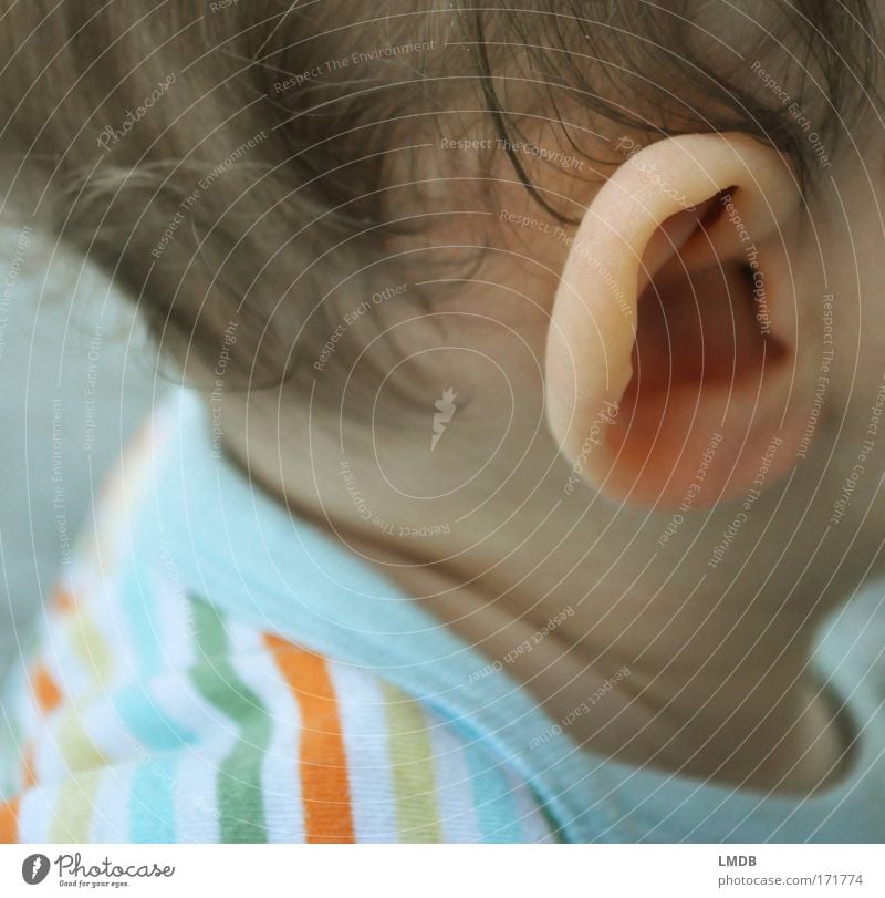 horch! Farbfoto Außenaufnahme Wegsehen Kindererziehung Mensch maskulin Kleinkind Junge Haut Kopf Haare & Frisuren Ohr 1 1-3 Jahre brünett kurzhaarig