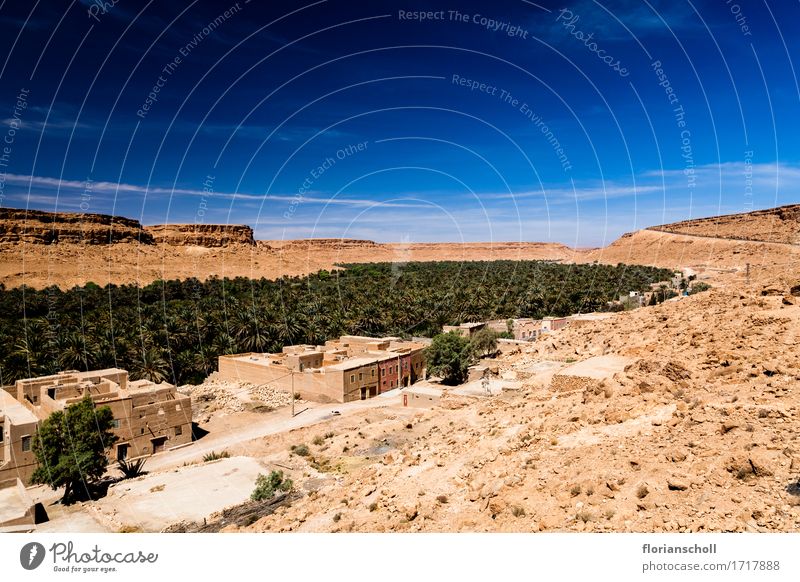 Marocco Ferien & Urlaub & Reisen Sommer Natur Landschaft Pflanze Klima Baum exotisch Wüste Freizeit & Hobby africa berber blue cultural desert house landscape