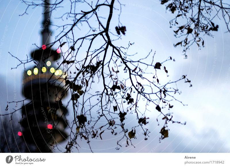 Der Turm Herbst Baum Zweig München Olympiapark Olympiaturm Sehenswürdigkeit Wahrzeichen Punkt Leuchtpunkt Licht leuchten dunkel Stadt blau gelb rot schwarz