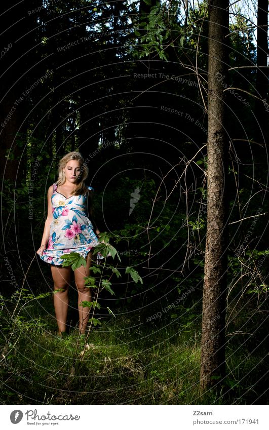 alone in the dark Farbfoto Außenaufnahme Kunstlicht Mensch feminin 18-30 Jahre Jugendliche Erwachsene Umwelt Natur Wald Mode Kleid blond langhaarig stehen